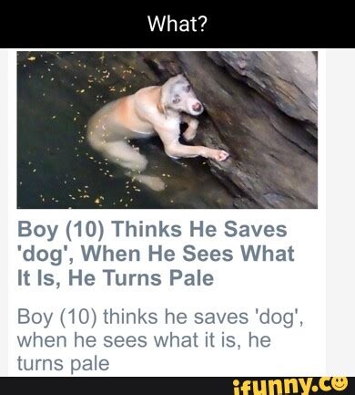 After catching wind of a dog trap call, he went out looking for the dog with the hope of setting it free. . Boy saves dog turns pale